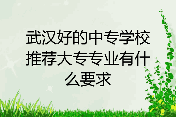 武汉好的中专学校推荐大专专业有什么要求