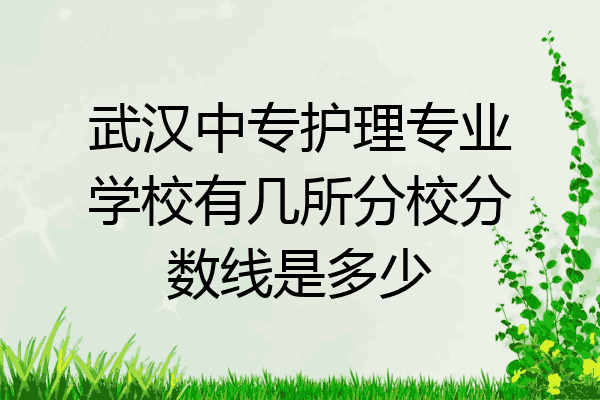 武汉中专护理专业学校有几所分校分数线是多少