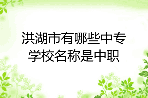 洪湖市有哪些中专学校名称是中职