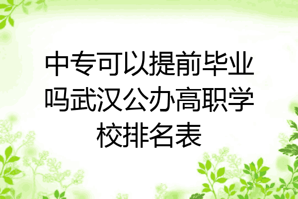 中专可以提前毕业吗武汉公办高职学校排名表