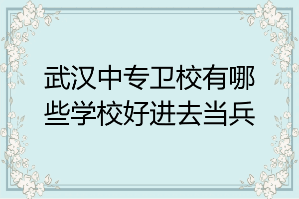 武汉中专卫校有哪些学校好进去当兵