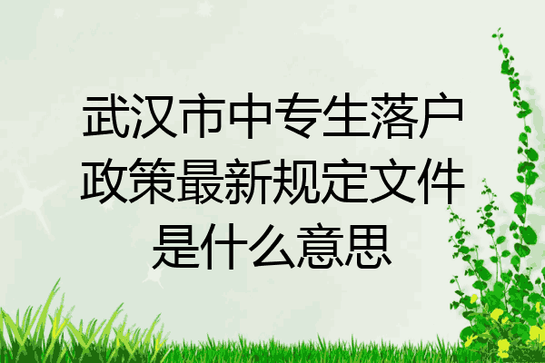 武汉市中专生落户政策最新规定文件是什么意思