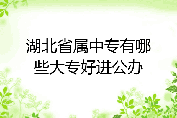 湖北省属中专有哪些大专好进公办