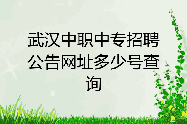 武汉中职中专招聘公告网址多少号查询