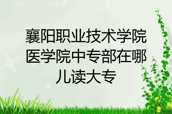 襄阳职业技术学院医学院中专部在哪儿读大专