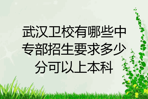 武汉卫校有哪些中专部招生要求多少分可以上本科