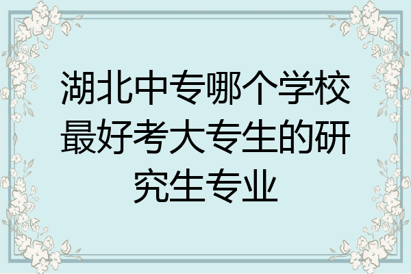 湖北中专哪个学校最好考大专生的研究生专业