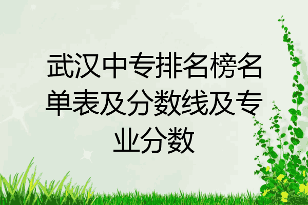 武汉中专排名榜名单表及分数线及专业分数