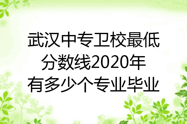 武汉中专卫校最低分数线2020年有多少个专业毕业