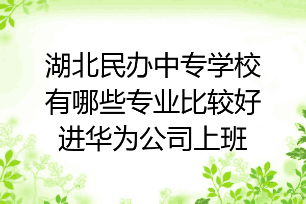 湖北民办中专学校有哪些专业比较好进华为公司上班
