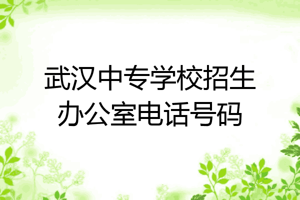 武汉中专学校招生办公室电话号码