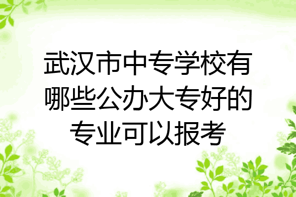 武汉市中专学校有哪些公办大专好的专业可以报考