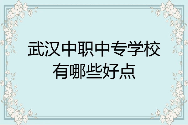 武汉中职中专学校有哪些好点