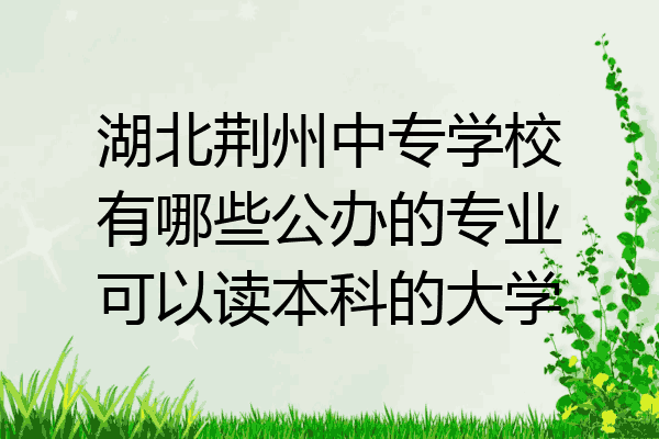 湖北荆州中专学校有哪些公办的专业可以读本科的大学