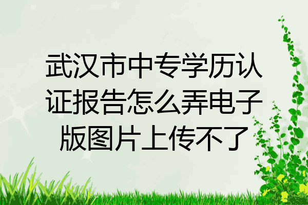 武汉市中专学历认证报告怎么弄电子版图片上传不了