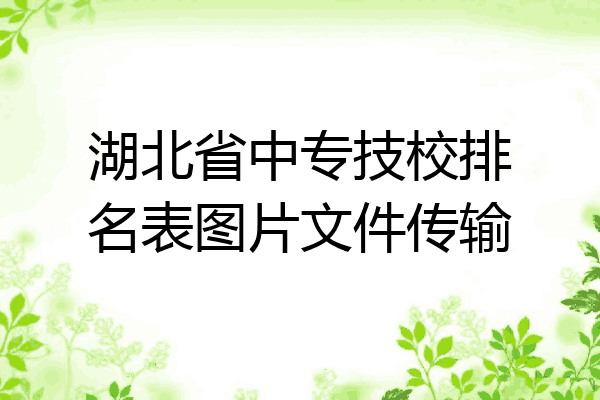 湖北省中专技校排名表图片文件传输
