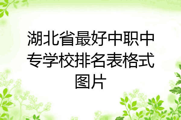 湖北省最好中职中专学校排名表格式图片