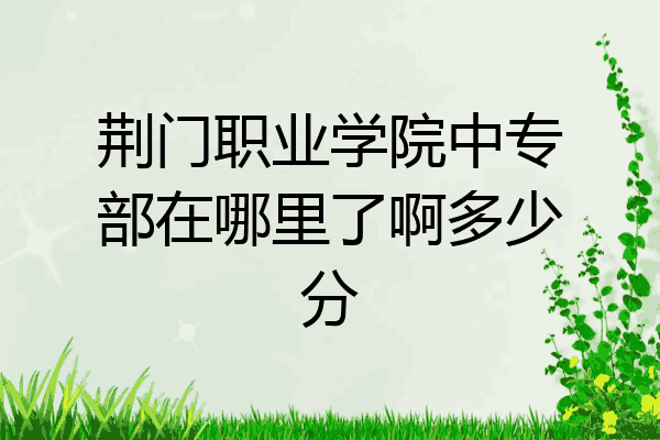 荆门职业学院中专部在哪里了啊多少分