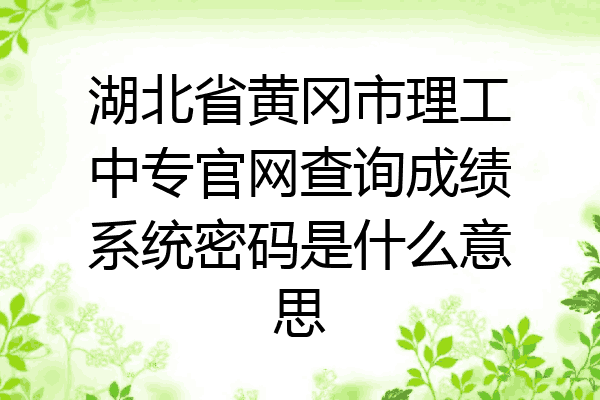 湖北省黄冈市理工中专官网查询成绩系统密码是什么意思
