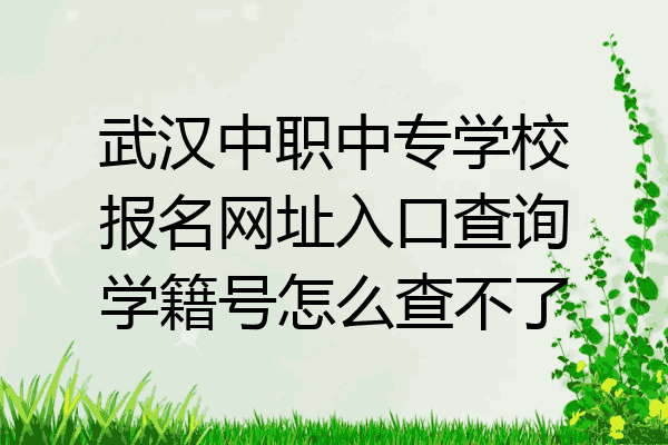 武汉中职中专学校报名网址入口查询学籍号怎么查不了