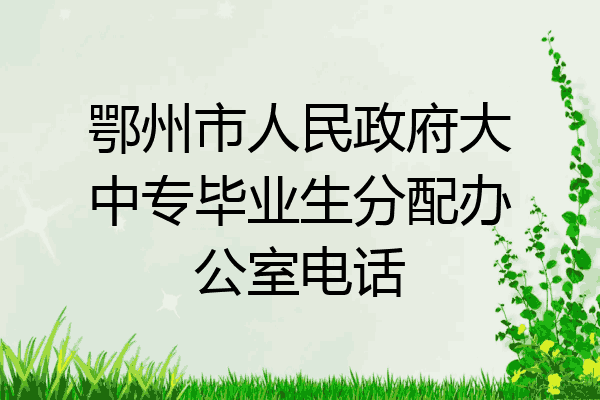 鄂州市人民政府大中专毕业生分配办公室电话