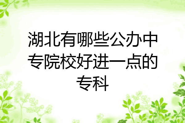 湖北有哪些公办中专院校好进一点的专科