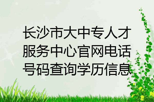 长沙市大中专人才服务中心官网电话号码查询学历信息