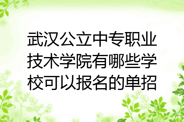 武汉公立中专职业技术学院有哪些学校可以报名的单招