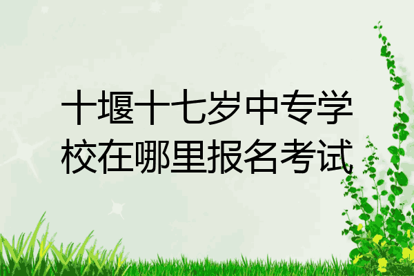 十堰十七岁中专学校在哪里报名考试