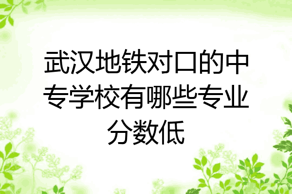 武汉地铁对口的中专学校有哪些专业分数低