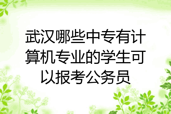 武汉哪些中专有计算机专业的学生可以报考公务员