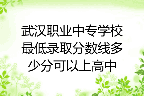 武汉职业中专学校最低录取分数线多少分可以上高中