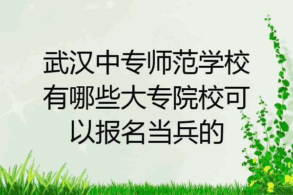 武汉中专师范学校有哪些大专院校可以报名当兵的