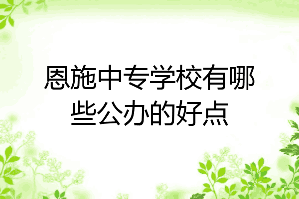恩施中专学校有哪些公办的好点