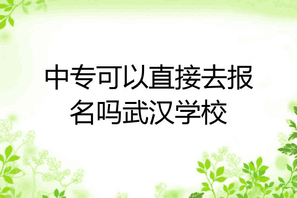 中专可以直接去报名吗武汉学校