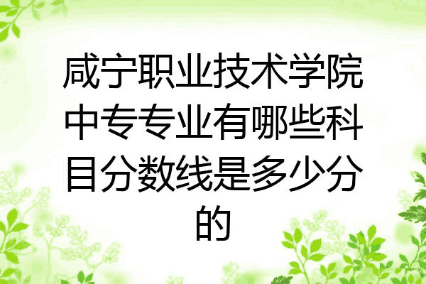 咸宁职业技术学院中专专业有哪些科目分数线是多少分的