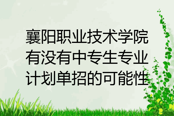 襄阳职业技术学院有没有中专生专业计划单招的可能性