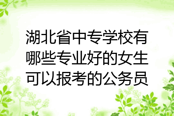 湖北省中专学校有哪些专业好的女生可以报考的公务员