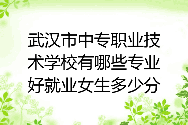 武汉市中专职业技术学校有哪些专业好就业女生多少分