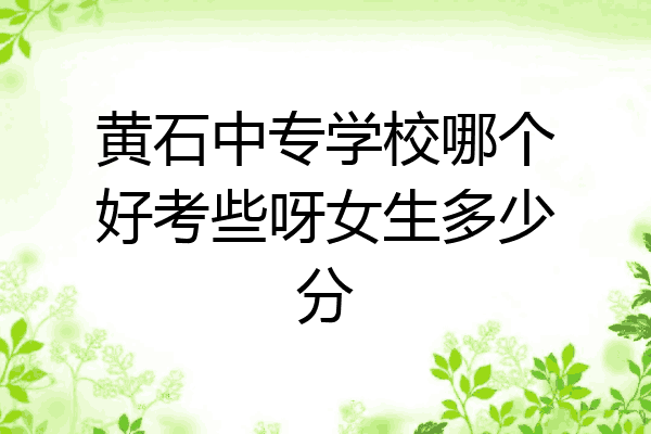 黄石中专学校哪个好考些呀女生多少分