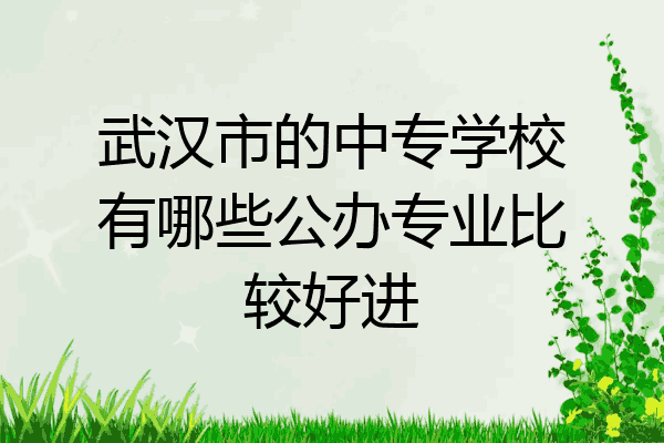 武汉市的中专学校有哪些公办专业比较好进