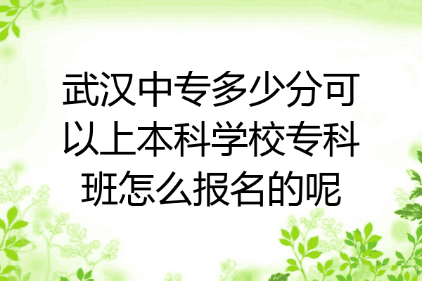 武汉中专多少分可以上本科学校专科班怎么报名的呢