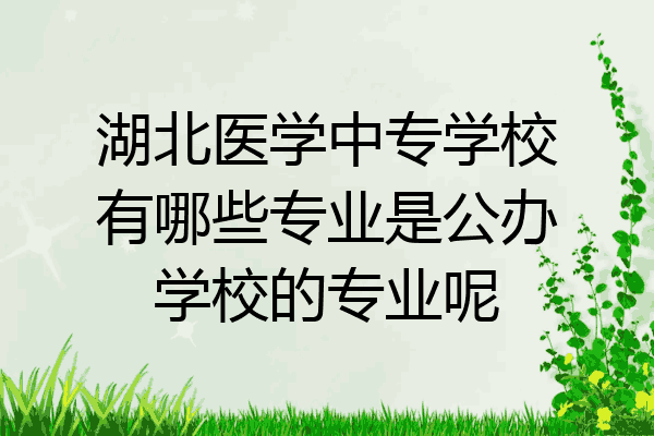 湖北医学中专学校有哪些专业是公办学校的专业呢
