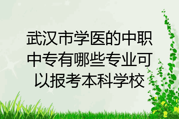 武汉市学医的中职中专有哪些专业可以报考本科学校