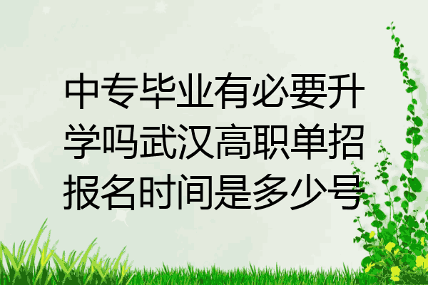 中专毕业有必要升学吗武汉高职单招报名时间是多少号