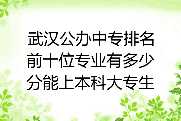 武汉公办中专排名前十位专业有多少分能上本科大专生