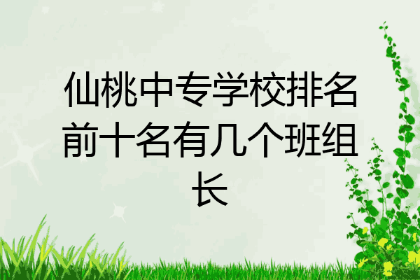 仙桃中专学校排名前十名有几个班组长