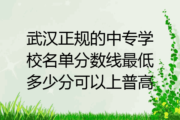 武汉正规的中专学校名单分数线最低多少分可以上普高