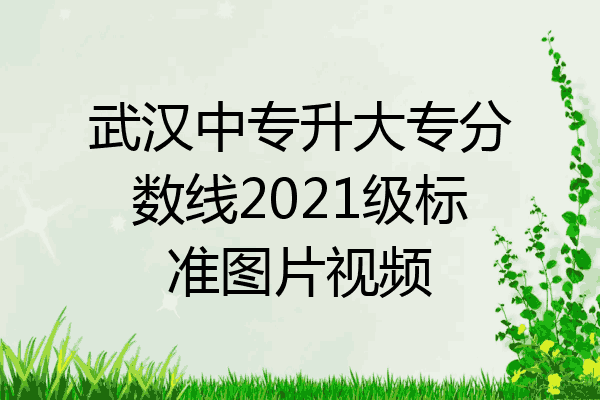 武汉中专升大专分数线2021级标准图片视频