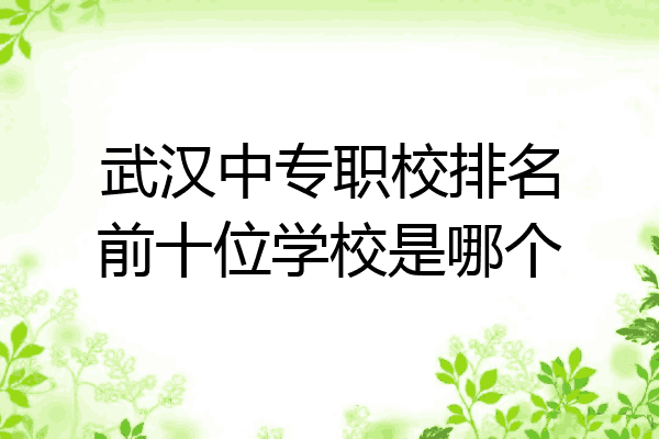 武汉中专职校排名前十位学校是哪个